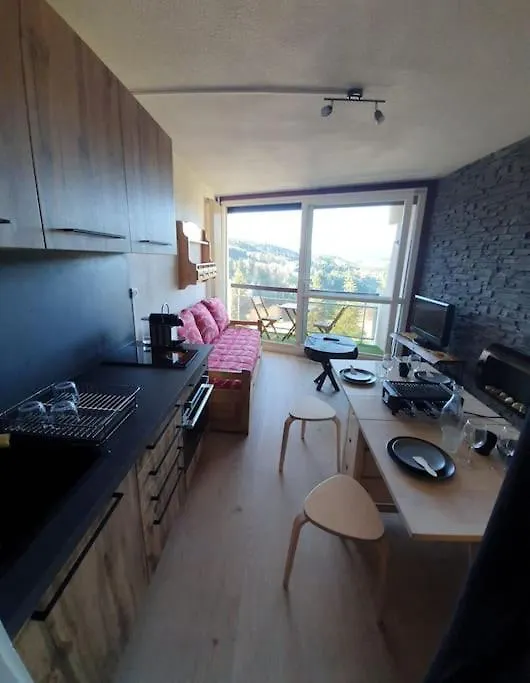 Studio Tout Confort Aux Balcons De Villard De Lans 0*, Villard-de-Lans France